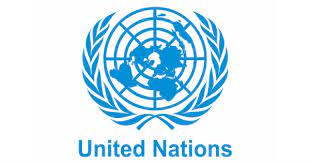 United Nations Young Professional Program (Work with UN) - Scholarships.af