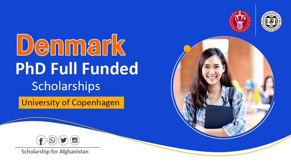 phd scholarship opportunities in denmark