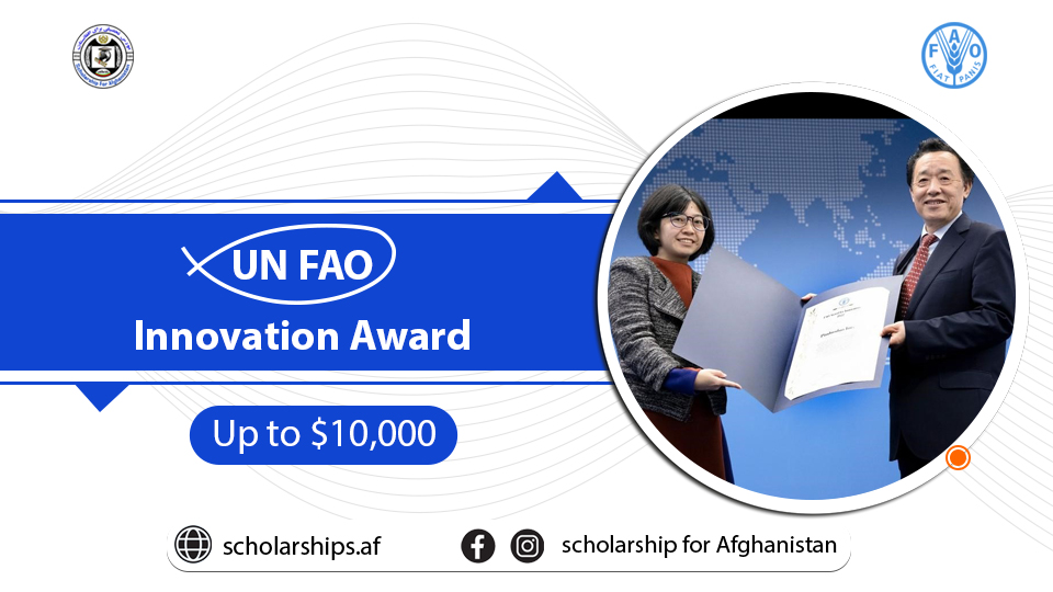 UN FAO Innovation Award 2024 (Up to $10,000) - Scholarships.af