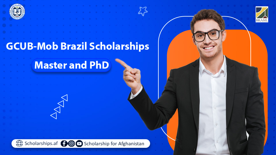 doing phd in brazil